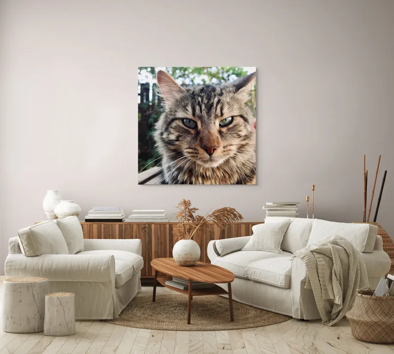Tablou Canvas, "Pisica gânditoare în grădina de vară", 100 x 100 cm – poza 3
