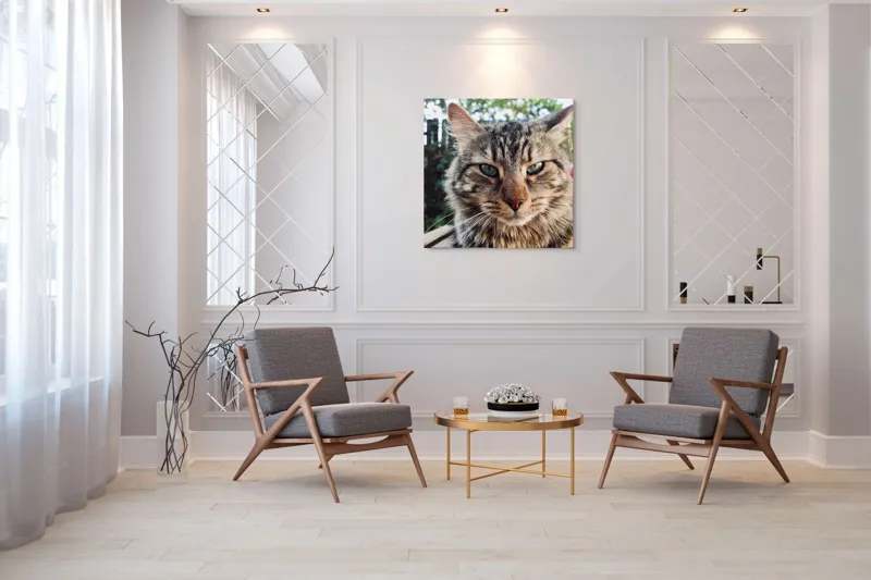 Tablou Canvas, "Pisica gânditoare în grădina de vară", 100 x 100 cm – poza 7