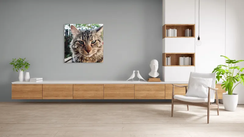 Tablou Canvas, "Pisica gânditoare în grădina de vară", 100 x 100 cm – poza 8