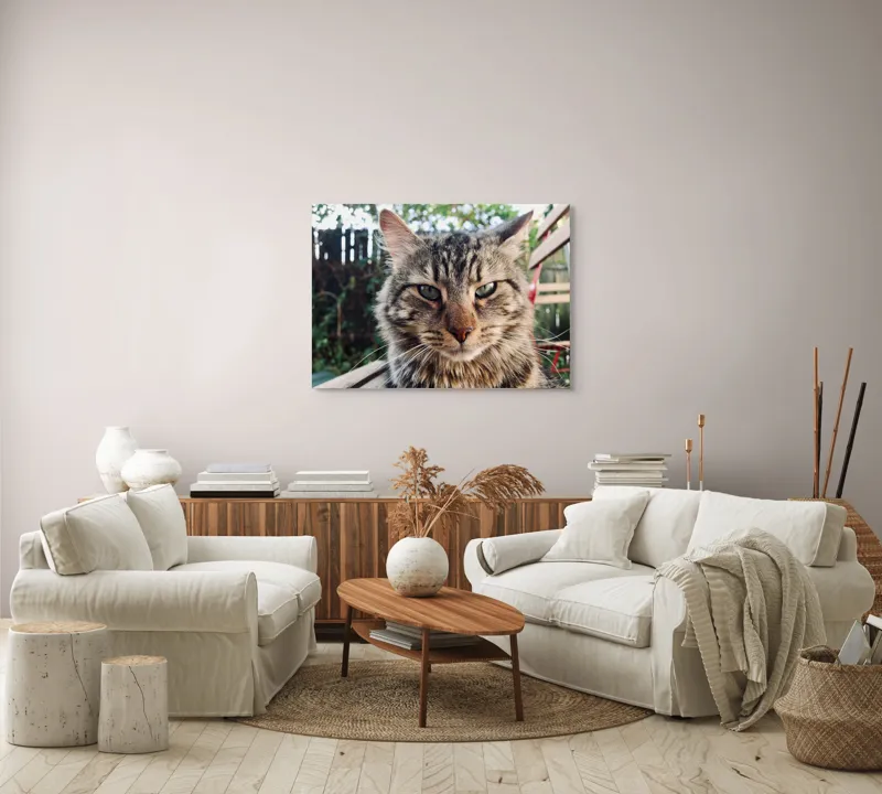 Tablou Canvas, "Pisica gânditoare în grădina de vară", 100 x 70 cm – poza 3