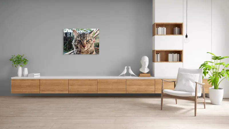 Tablou Canvas, "Pisica gânditoare în grădina de vară", 100 x 70 cm – poza 6