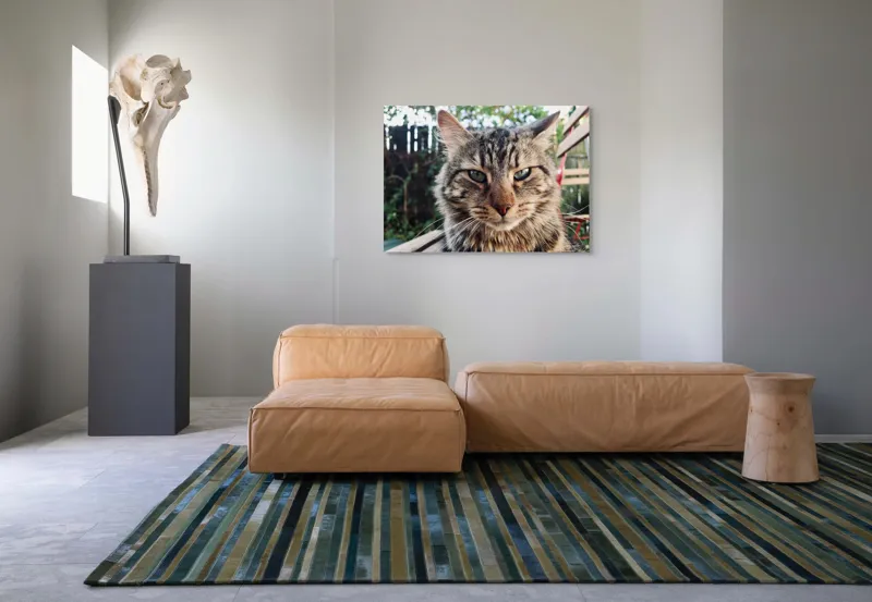 Tablou Canvas, "Pisica gânditoare în grădina de vară", 100 x 70 cm – poza 7
