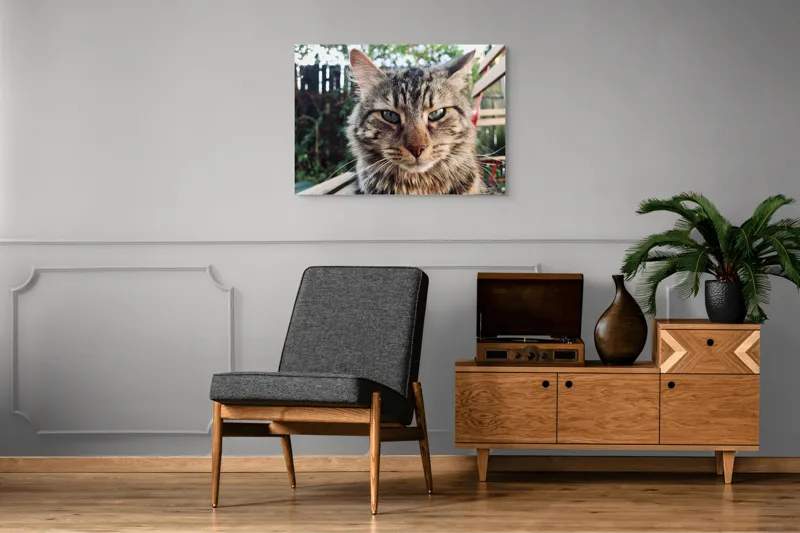 Tablou Canvas, "Pisica gânditoare în grădina de vară", 100 x 70 cm – poza 8