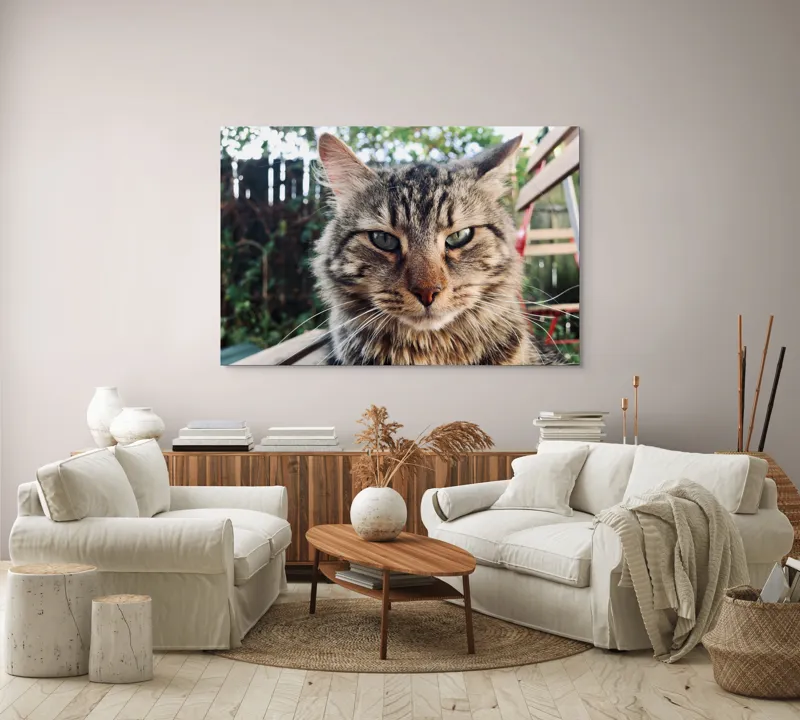 Tablou Canvas, "Pisica gânditoare în grădina de vară", 150 x 100 cm – poza 3