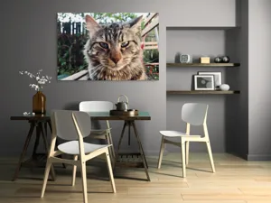 Tablou Canvas, "Pisica gânditoare în grădina de vară", 150 x 100 cm – poza 5