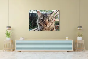 Tablou Canvas, "Pisica gânditoare în grădina de vară", 150 x 100 cm – poza 6