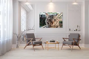 Tablou Canvas, "Pisica gânditoare în grădina de vară", 150 x 100 cm – poza 7