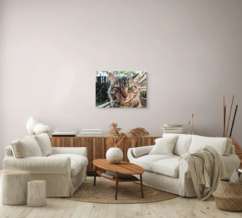 Tablou Canvas, "Pisica gânditoare în grădina de vară", 70 x 50 cm – poza 6