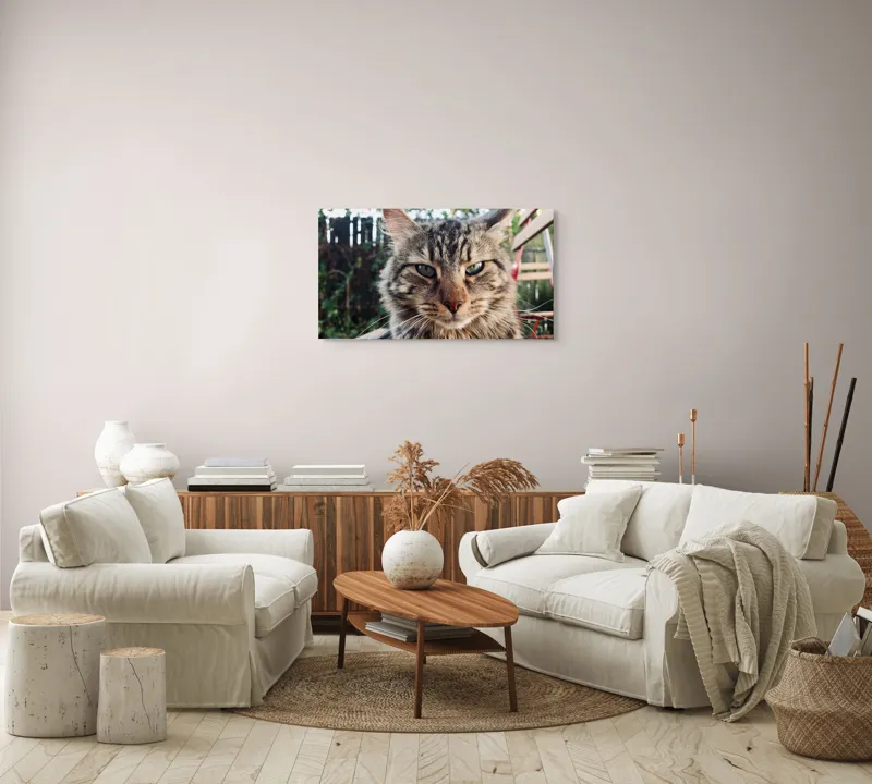 Tablou Canvas, "Pisica gânditoare în grădina de vară", 90 x 50 cm – poza 4