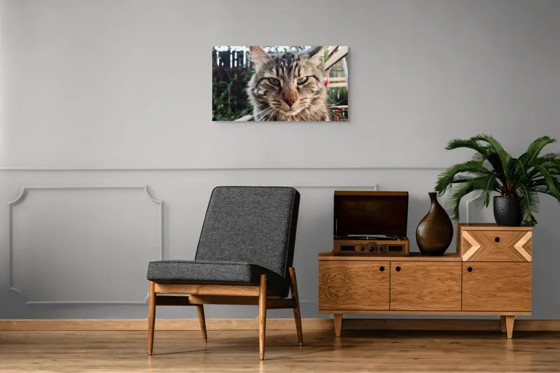 Tablou Canvas, "Pisica gânditoare în grădina de vară", 90 x 50 cm – poza 6
