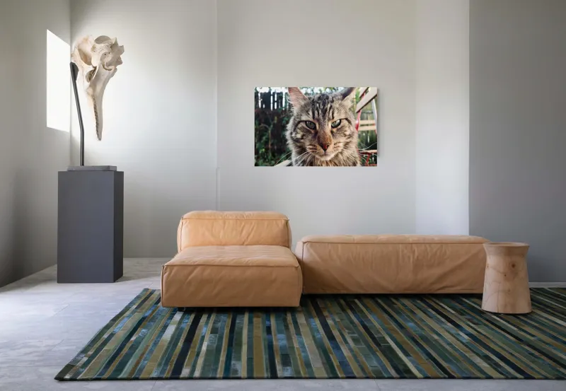 Tablou Canvas, "Pisica gânditoare în grădina de vară", 90 x 50 cm – poza 8