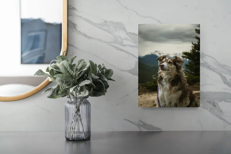 Tablou Canvas, "Paznic al vârfurilor înzăpezite", Nu pot spune cine este în imagine, dar observ un câine frumos care stă într-un peisaj montan. Dacă te pot ajuta cu altceva legat de imagine sau descrierea ei, anunță-mă!, 26 x 39 cm – poza 4