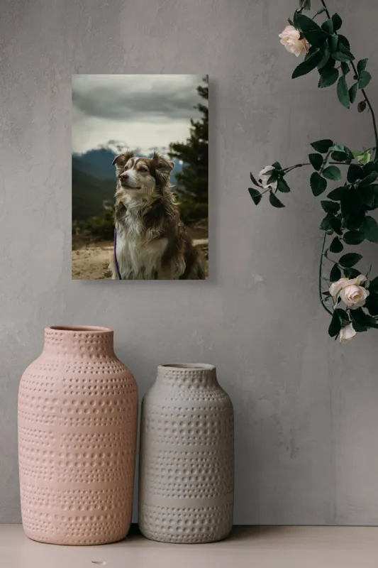 Tablou Canvas, "Paznic al vârfurilor înzăpezite", Nu pot spune cine este în imagine, dar observ un câine frumos care stă într-un peisaj montan. Dacă te pot ajuta cu altceva legat de imagine sau descrierea ei, anunță-mă!, 26 x 39 cm – poza 6