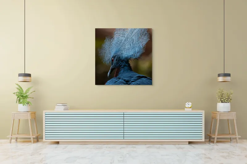 Tablou Canvas, "Frumusețea penajului regal al porumbelului", Pene, Splendoare, Eleganță, Albastru, Regalitate, Detaliu, Mister, Delicatete, 100 x 100 cm – poza 5