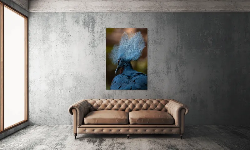 Tablou Canvas, "Frumusețea penajului regal al porumbelului", Pene, Splendoare, Eleganță, Albastru, Regalitate, Detaliu, Mister, Delicatete, 100 x 150 cm – poza 6