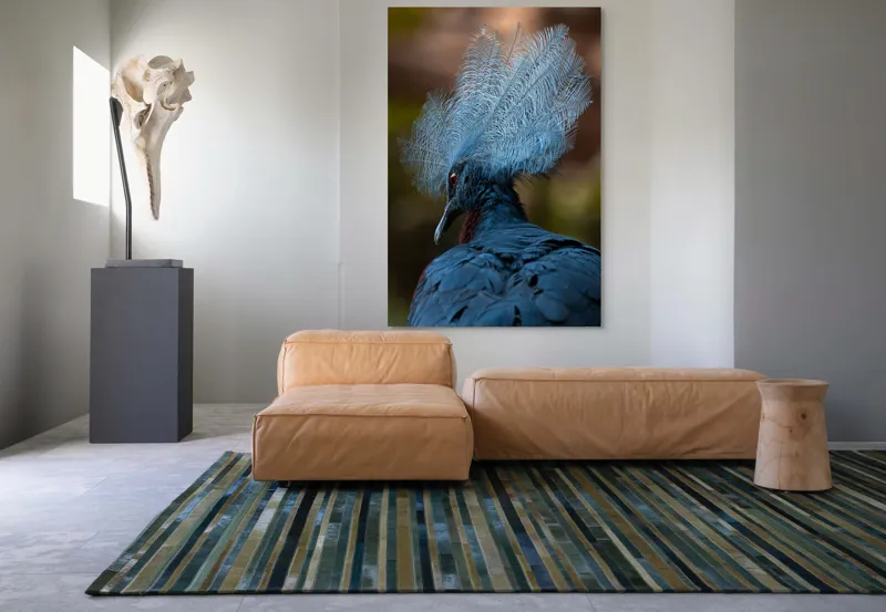 Tablou Canvas, "Frumusețea penajului regal al porumbelului", Pene, Splendoare, Eleganță, Albastru, Regalitate, Detaliu, Mister, Delicatete, 100 x 150 cm – poza 7