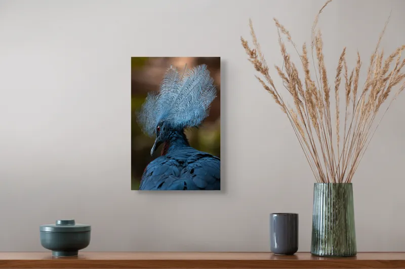 Tablou Canvas, "Frumusețea penajului regal al porumbelului", Pene, Splendoare, Eleganță, Albastru, Regalitate, Detaliu, Mister, Delicatete, 26 x 39 cm – poza 5