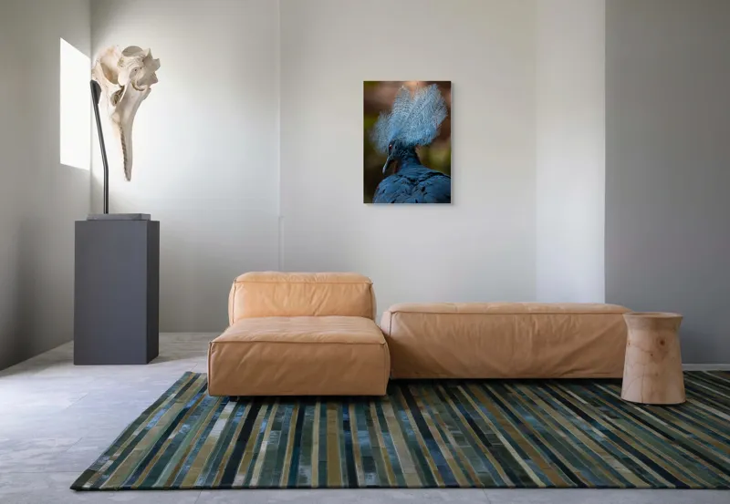 Tablou Canvas, "Frumusețea penajului regal al porumbelului", Pene, Splendoare, Eleganță, Albastru, Regalitate, Detaliu, Mister, Delicatete, 50 x 70 cm – poza 7