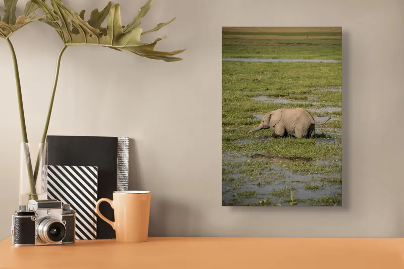 Tablou Canvas, "Elefănțel în mijlocul savanei verzi", Elefant, Iarbă, Apă, Natură, Câmpie, Sălbăticie, Trunchi, Pui, Verde, Peisaj, 26 x 39 cm – poza 3