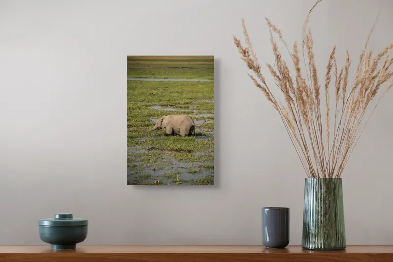 Tablou Canvas, "Elefănțel în mijlocul savanei verzi", Elefant, Iarbă, Apă, Natură, Câmpie, Sălbăticie, Trunchi, Pui, Verde, Peisaj, 26 x 39 cm – poza 5