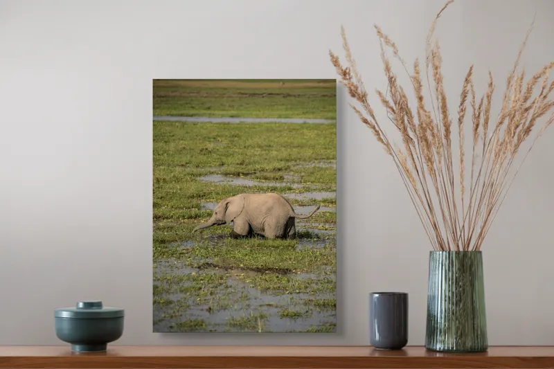 Tablou Canvas, "Elefănțel în mijlocul savanei verzi", Elefant, Iarbă, Apă, Natură, Câmpie, Sălbăticie, Trunchi, Pui, Verde, Peisaj, 39 x 54 cm – poza 3