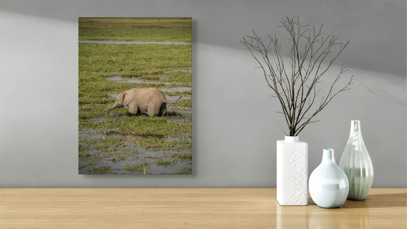 Tablou Canvas, "Elefănțel în mijlocul savanei verzi", Elefant, Iarbă, Apă, Natură, Câmpie, Sălbăticie, Trunchi, Pui, Verde, Peisaj, 39 x 54 cm – poza 4