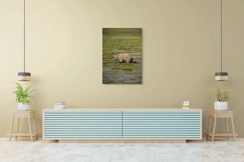 Tablou Canvas, "Elefănțel în mijlocul savanei verzi", Elefant, Iarbă, Apă, Natură, Câmpie, Sălbăticie, Trunchi, Pui, Verde, Peisaj, 70 x 100 cm – poza 5