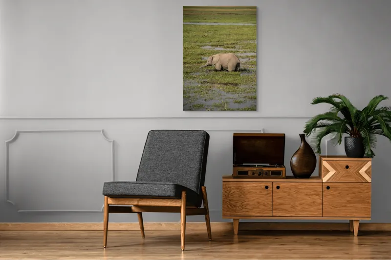 Tablou Canvas, "Elefănțel în mijlocul savanei verzi", Elefant, Iarbă, Apă, Natură, Câmpie, Sălbăticie, Trunchi, Pui, Verde, Peisaj, 70 x 100 cm – poza 6