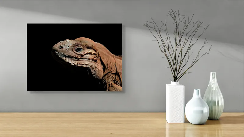Tablou Canvas, "Reptila în întunericul liniștit al nopții", Iguana, Textură, Detaliu, Reptilă, Luminozitate, Umbre, Contrast, Faună, Solzi, Privire., 54 x 39 cm – poza 3