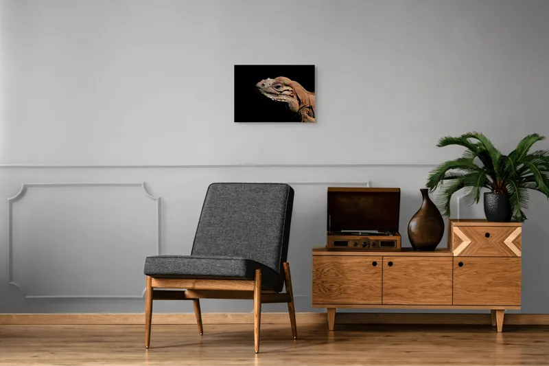 Tablou Canvas, "Reptila în întunericul liniștit al nopții", Iguana, Textură, Detaliu, Reptilă, Luminozitate, Umbre, Contrast, Faună, Solzi, Privire., 54 x 39 cm – poza 7