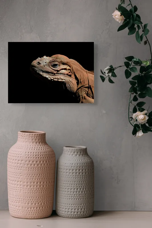 Tablou Canvas, "Reptila în întunericul liniștit al nopții", Iguana, Textură, Detaliu, Reptilă, Luminozitate, Umbre, Contrast, Faună, Solzi, Privire., 54 x 39 cm – poza 8