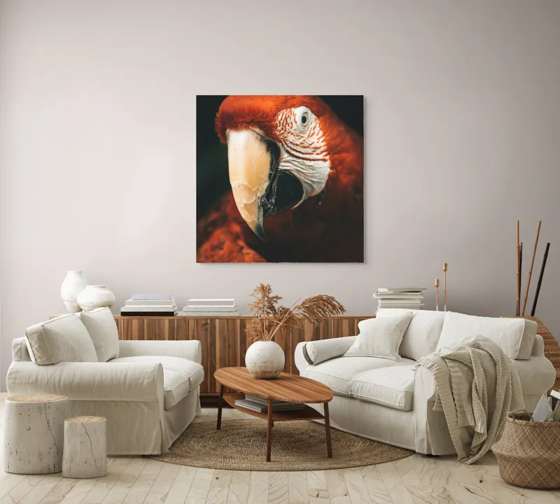 Tablou Canvas, "Papagal roșu în detaliu vivant", Roșu, Papagal, Penaj, Privire, Exotic, Detalii, Contrast, Contrast, Frumusețe, Natură, 100 x 100 cm – poza 3