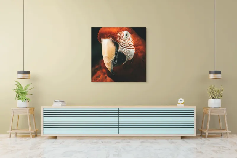 Tablou Canvas, "Papagal roșu în detaliu vivant", Roșu, Papagal, Penaj, Privire, Exotic, Detalii, Contrast, Contrast, Frumusețe, Natură, 100 x 100 cm – poza 5