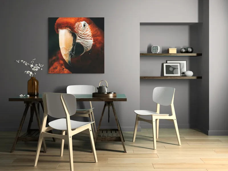 Tablou Canvas, "Papagal roșu în detaliu vivant", Roșu, Papagal, Penaj, Privire, Exotic, Detalii, Contrast, Contrast, Frumusețe, Natură, 100 x 100 cm – poza 6