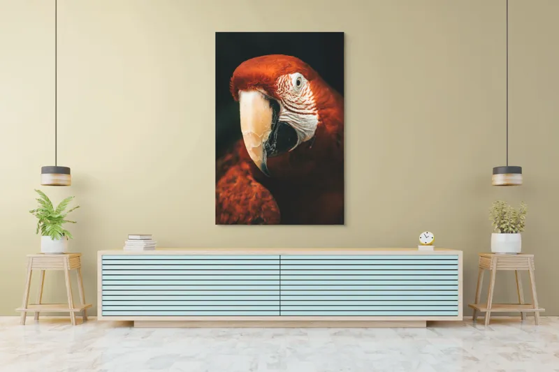 Tablou Canvas, "Papagal roșu în detaliu vivant", Roșu, Papagal, Penaj, Privire, Exotic, Detalii, Contrast, Contrast, Frumusețe, Natură, 100 x 150 cm – poza 4