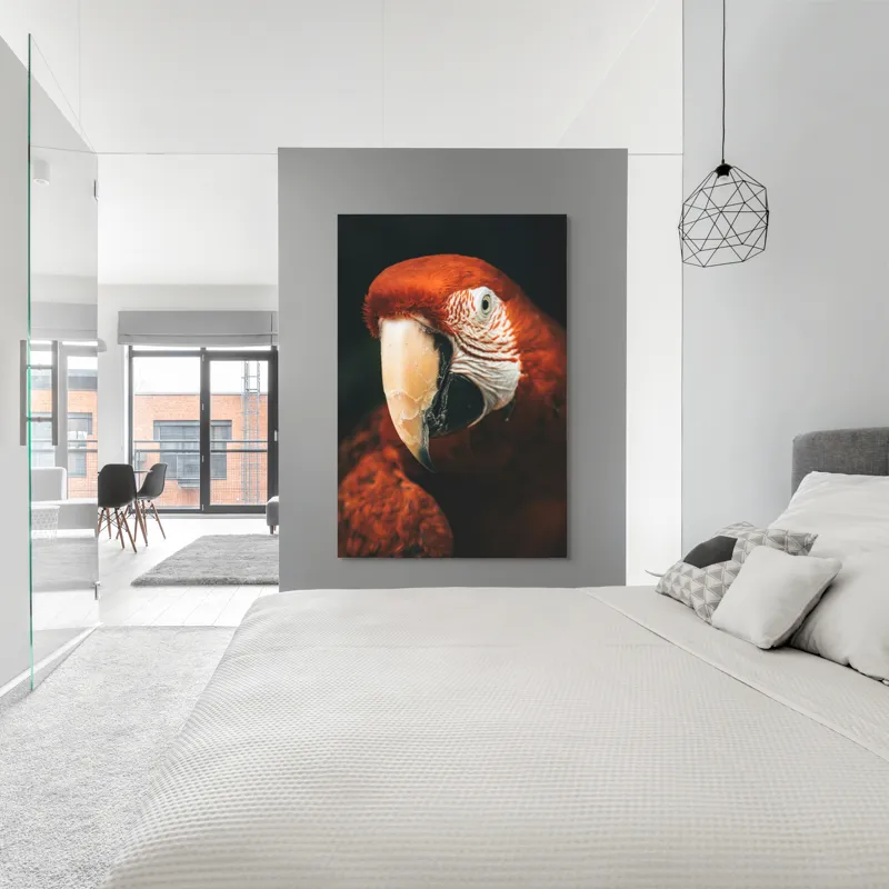 Tablou Canvas, "Papagal roșu în detaliu vivant", Roșu, Papagal, Penaj, Privire, Exotic, Detalii, Contrast, Contrast, Frumusețe, Natură, 100 x 150 cm – poza 5