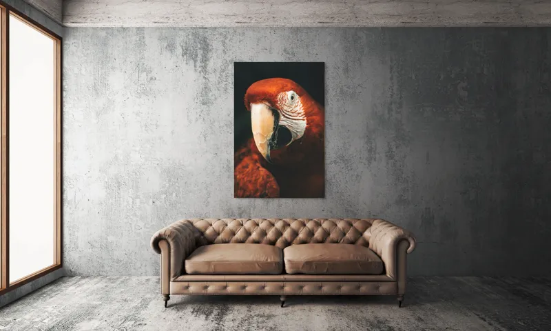 Tablou Canvas, "Papagal roșu în detaliu vivant", Roșu, Papagal, Penaj, Privire, Exotic, Detalii, Contrast, Contrast, Frumusețe, Natură, 100 x 150 cm – poza 6