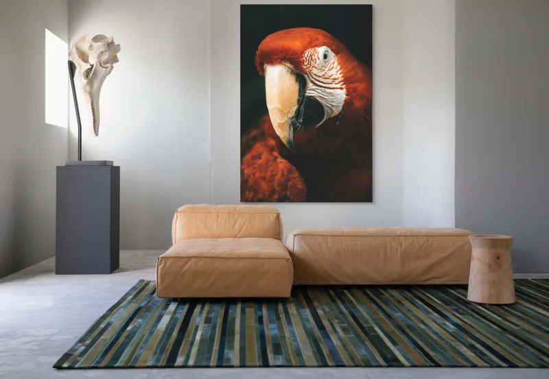 Tablou Canvas, "Papagal roșu în detaliu vivant", Roșu, Papagal, Penaj, Privire, Exotic, Detalii, Contrast, Contrast, Frumusețe, Natură, 100 x 150 cm – poza 7