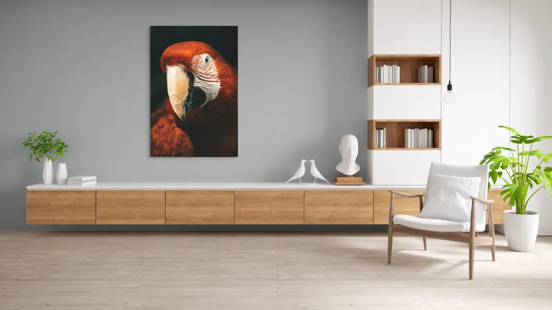 Tablou Canvas, "Papagal roșu în detaliu vivant", Roșu, Papagal, Penaj, Privire, Exotic, Detalii, Contrast, Contrast, Frumusețe, Natură, 100 x 150 cm – poza 8