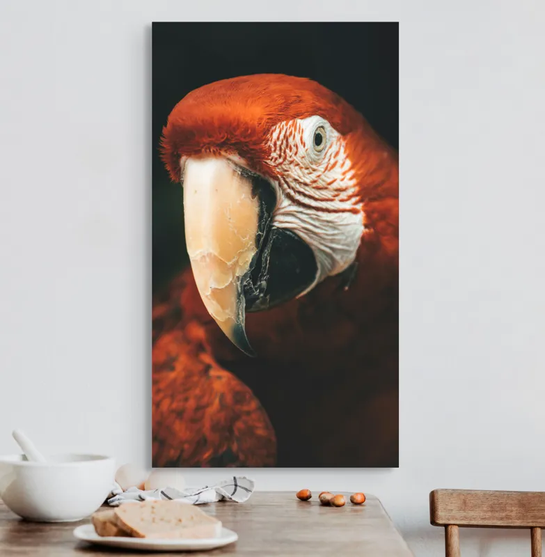 Tablou Canvas, "Papagal roșu în detaliu vivant", Roșu, Papagal, Penaj, Privire, Exotic, Detalii, Contrast, Contrast, Frumusețe, Natură, 50 x 90 cm – poza 3