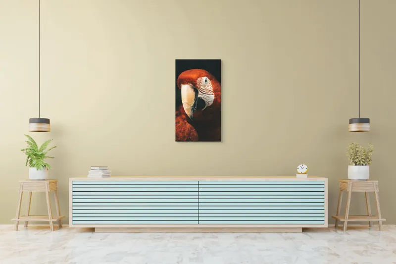 Tablou Canvas, "Papagal roșu în detaliu vivant", Roșu, Papagal, Penaj, Privire, Exotic, Detalii, Contrast, Contrast, Frumusețe, Natură, 50 x 90 cm – poza 6