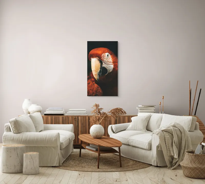 Tablou Canvas, "Papagal roșu în detaliu vivant", Roșu, Papagal, Penaj, Privire, Exotic, Detalii, Contrast, Contrast, Frumusețe, Natură, 50 x 90 cm – poza 7