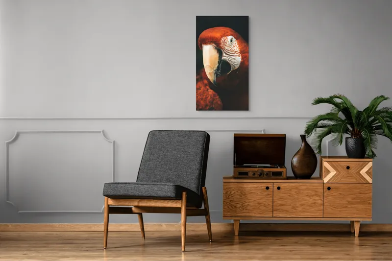 Tablou Canvas, "Papagal roșu în detaliu vivant", Roșu, Papagal, Penaj, Privire, Exotic, Detalii, Contrast, Contrast, Frumusețe, Natură, 50 x 90 cm – poza 8