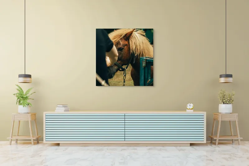 Tablou Canvas, "Întâlnire blândă cu un ponei brun", 100 x 100 cm – poza 5