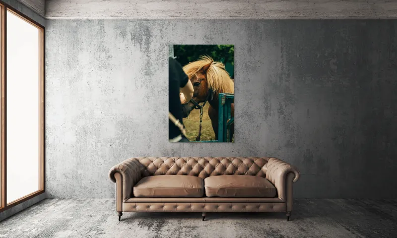 Tablou Canvas, "Întâlnire blândă cu un ponei brun", 100 x 150 cm – poza 6
