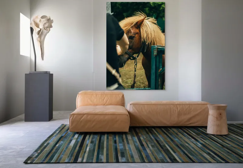 Tablou Canvas, "Întâlnire blândă cu un ponei brun", 100 x 150 cm – poza 7