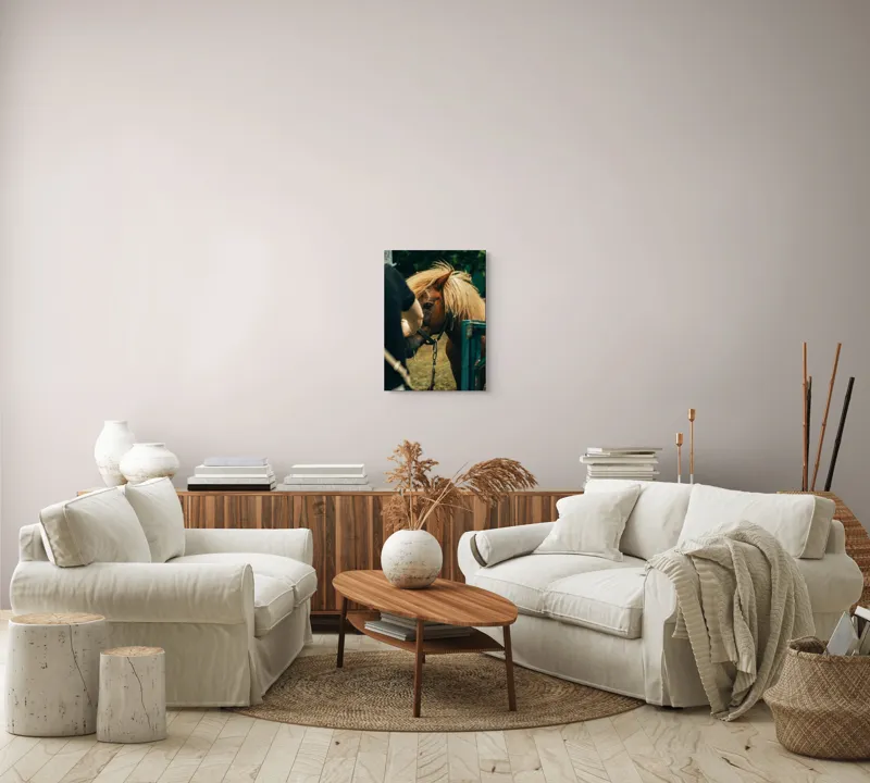 Tablou Canvas, "Întâlnire blândă cu un ponei brun", 39 x 54 cm – poza 5