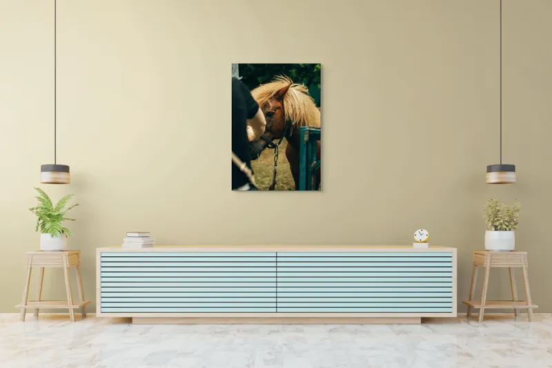 Tablou Canvas, "Întâlnire blândă cu un ponei brun", 70 x 100 cm – poza 5