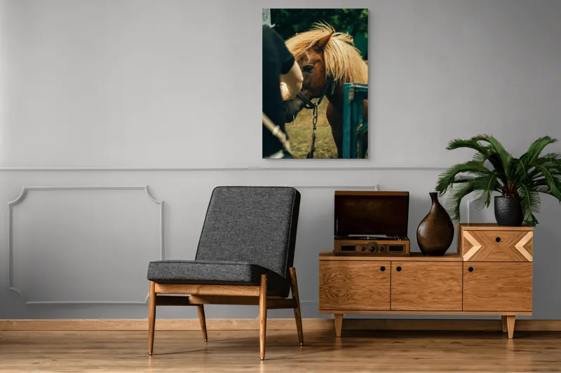 Tablou Canvas, "Întâlnire blândă cu un ponei brun", 70 x 100 cm – poza 6