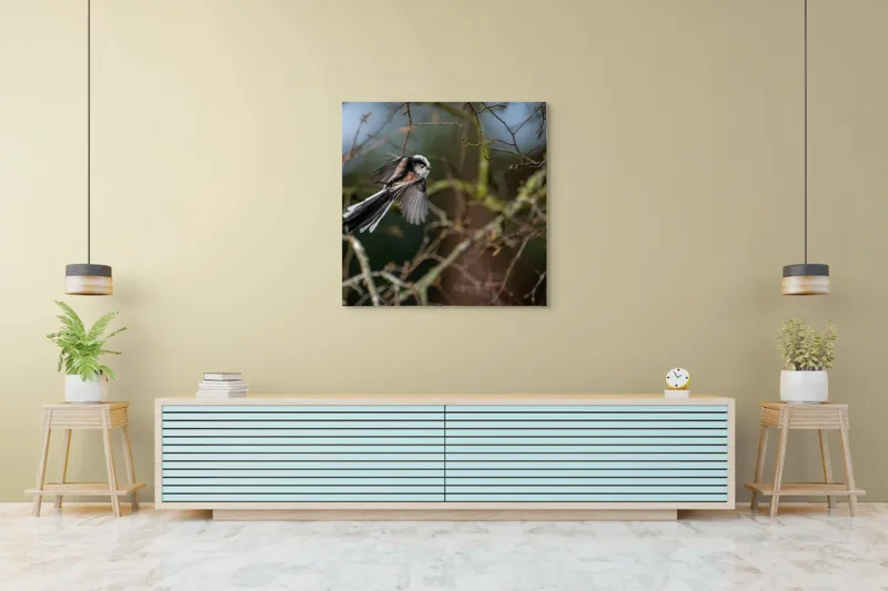 Tablou Canvas, "Zbor de primăvară printre crengi", Pasăre, Aripi, Ramuri, Cer, Zbor, Natură, Mișcare, Penaj, Frunze, Primăvară, 100 x 100 cm – poza 5